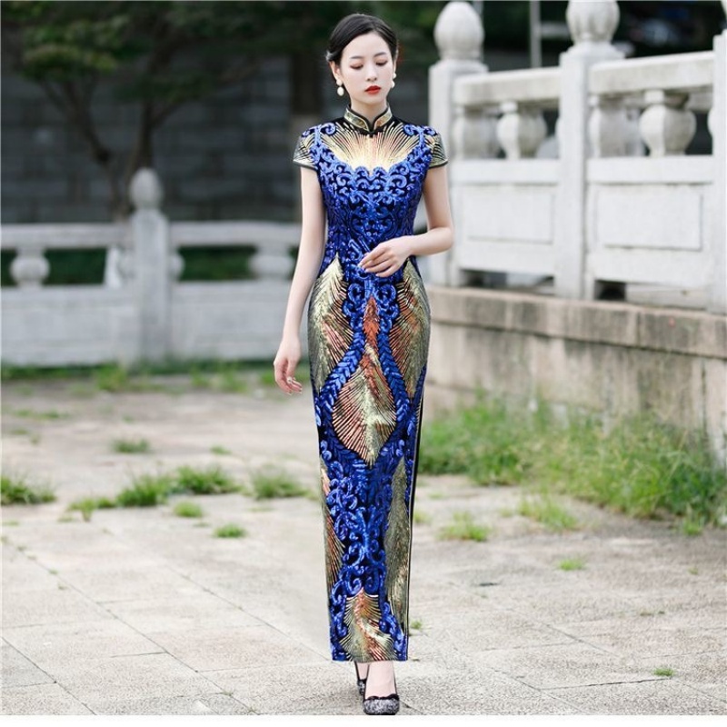 Ao Dai Vietnam Dress - Mulher elegante aodai vestido de manga